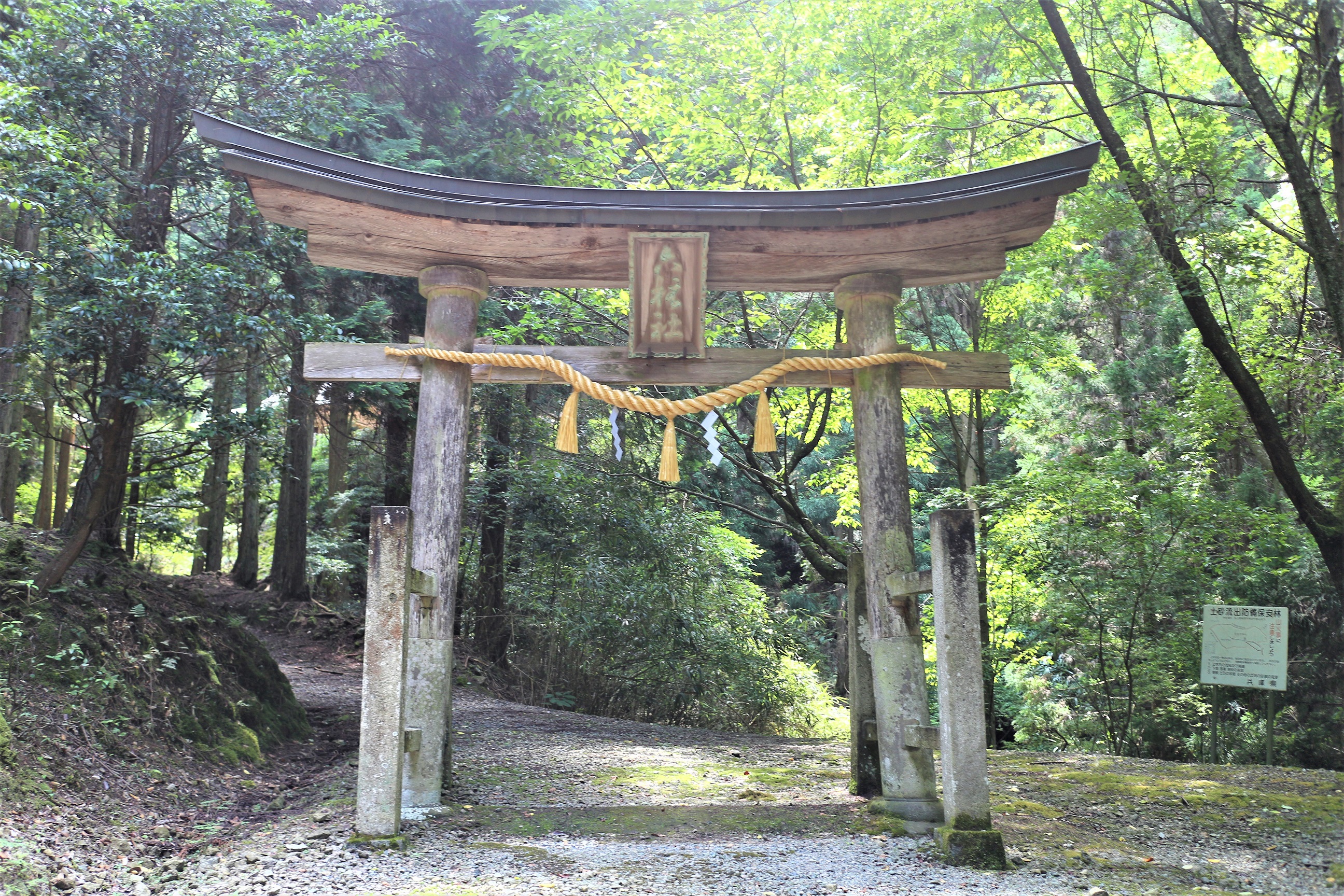 鳥居のしめ縄♪ | 仏壇・仏具の【大仏堂】|丹波市・丹波篠山市 鳥居のしめ縄♪ | 仏壇・仏具の【大仏堂】|丹波市・丹波篠山市